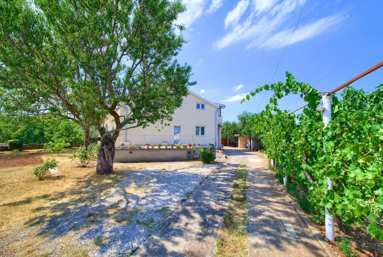 Lipovac Apartment